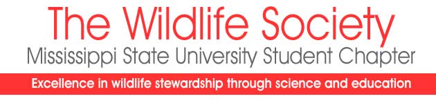 The Wildlife Society